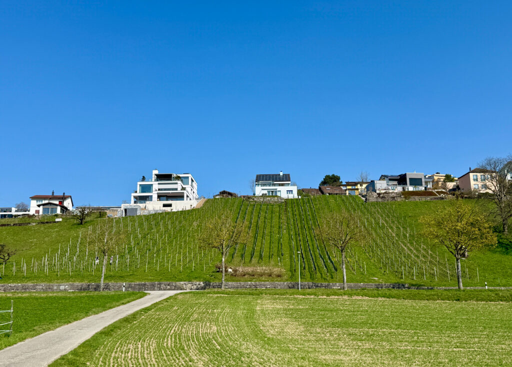 Grossberg Rohrdorf Niederrohrdorf